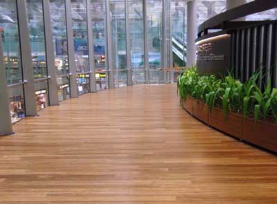 Bambusboden-Flughafen4