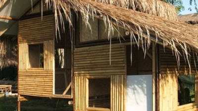 Bamboo as building material