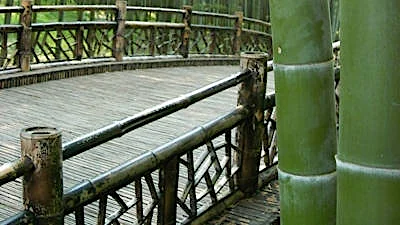 Bambus Brücke